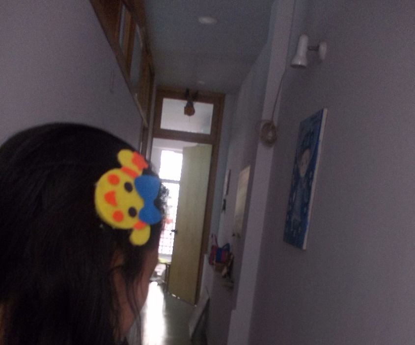 Miss La Sen  Felt  Hair Clip.