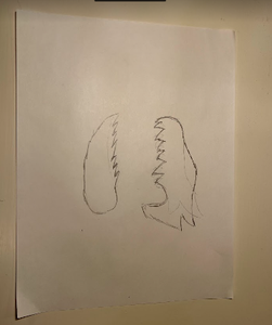 Step One: Outline the Dragon Head on White Paper