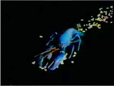 Rock Lobster Computer Prank