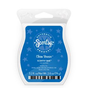 What to Do With Used Scentsy Wax