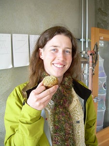 Banana Macadamia Nut Muffins - Yellow Day Afternoon Snack