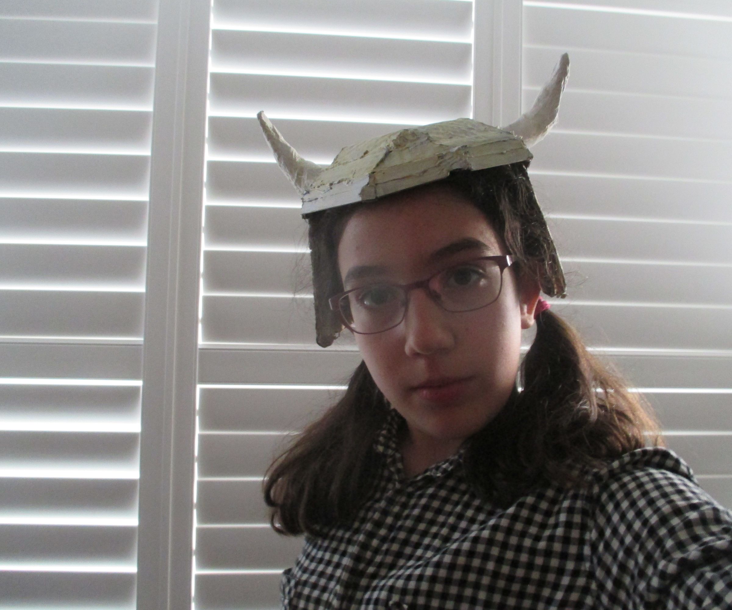 Cardboard Viking Helmet