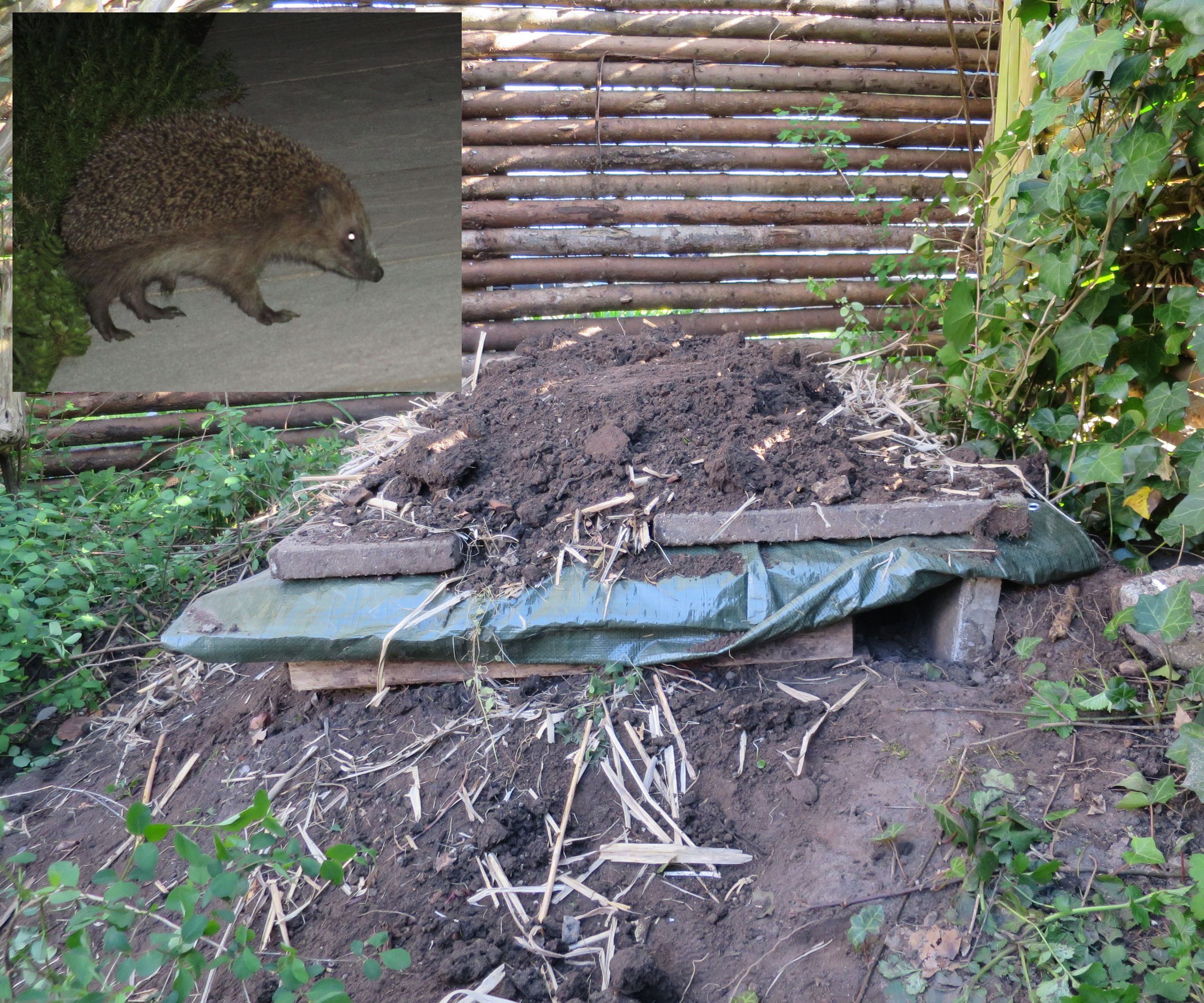 Hedgehog Pallet Home (Possibly Combine It With Your Compost)