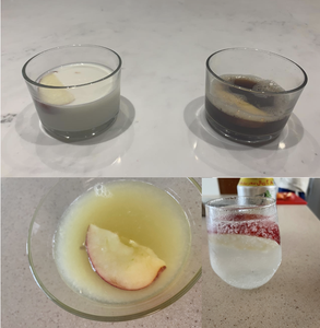 apple browning experiment application Procedure