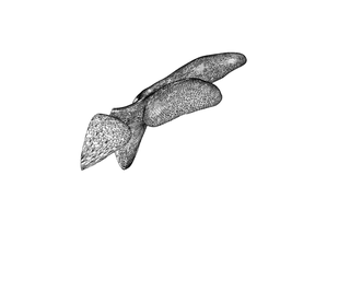 download {{ file.name }}