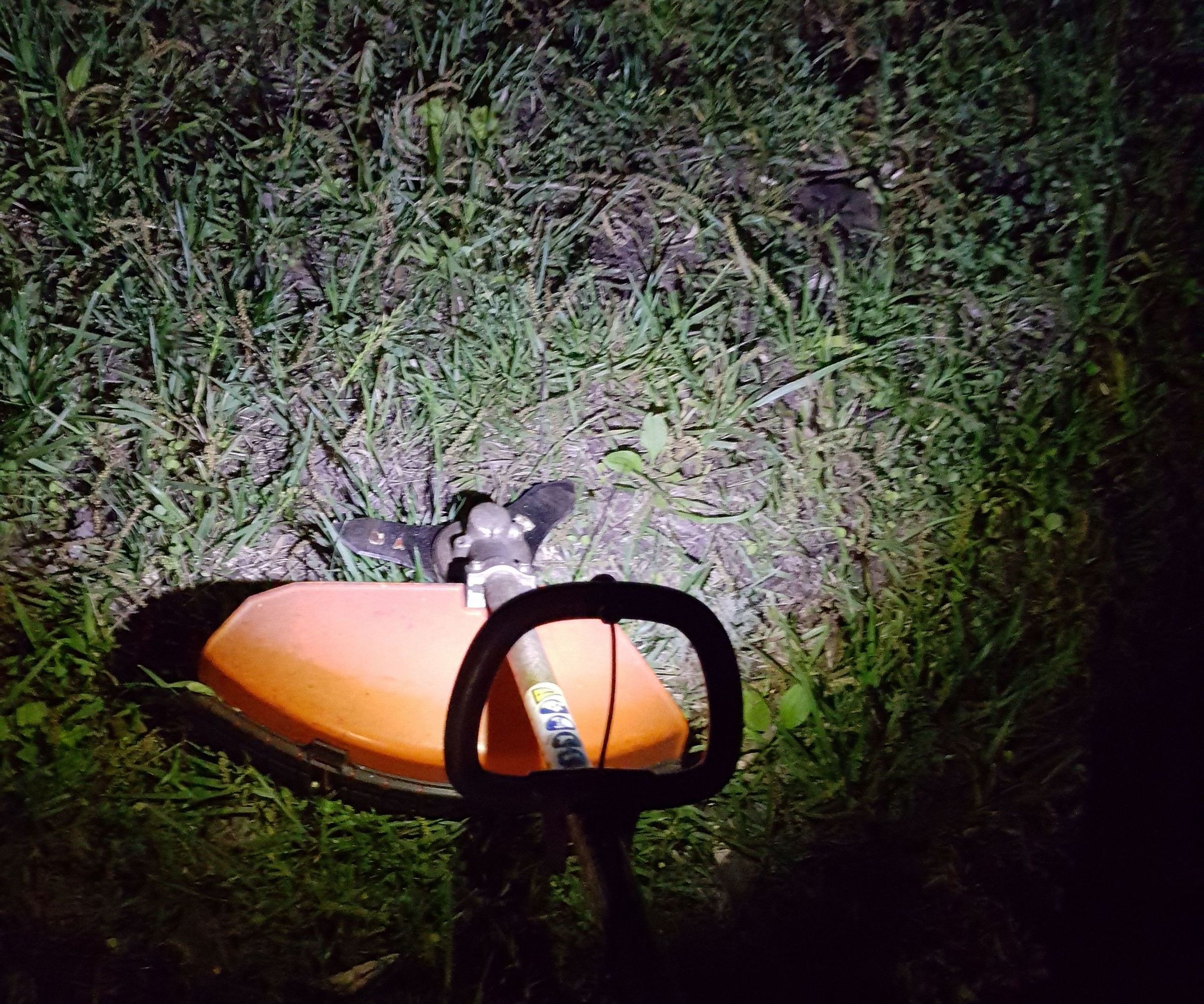 Light for a Brush Trimmer