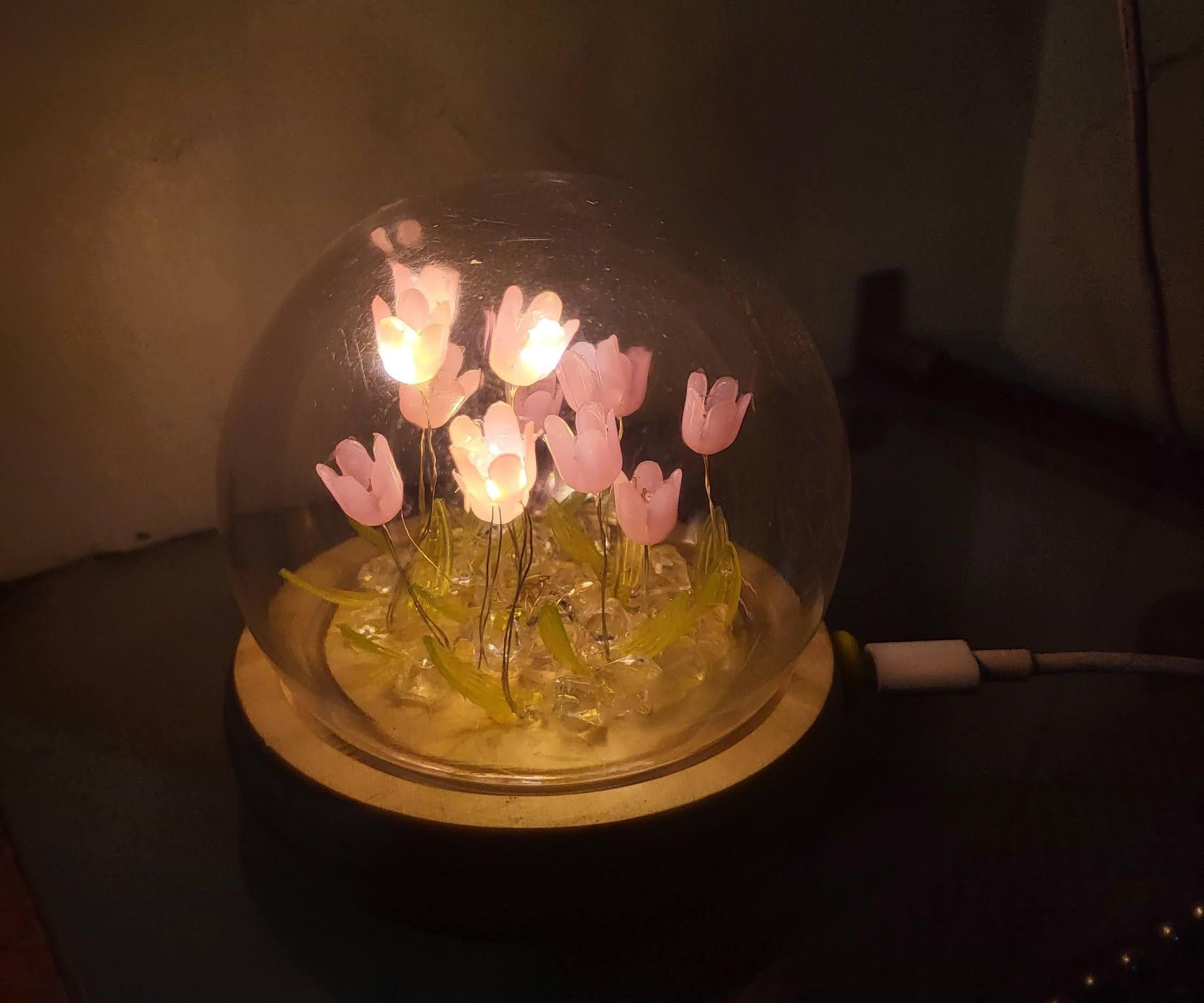 SignalBloom (A Wi-Fi Visualizer)