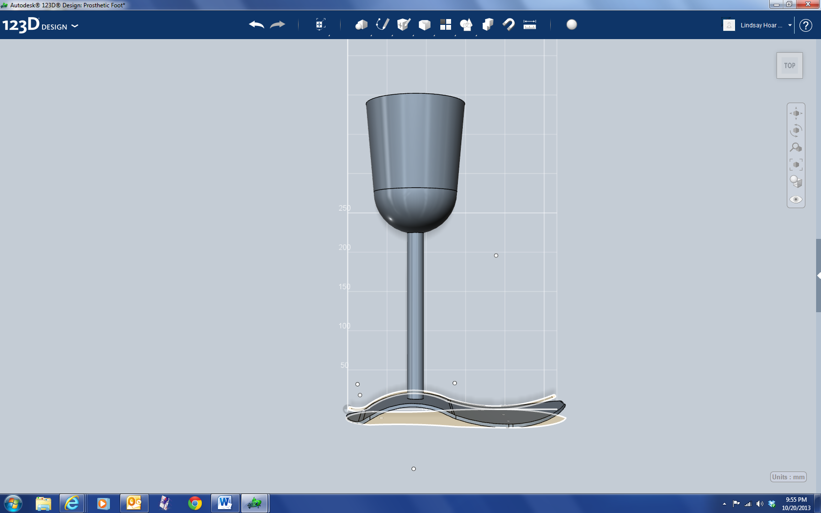 Customizable Prosthetic Leg