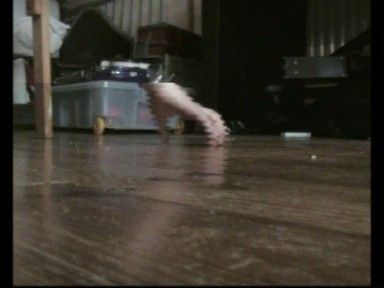 Moving Hand Effect