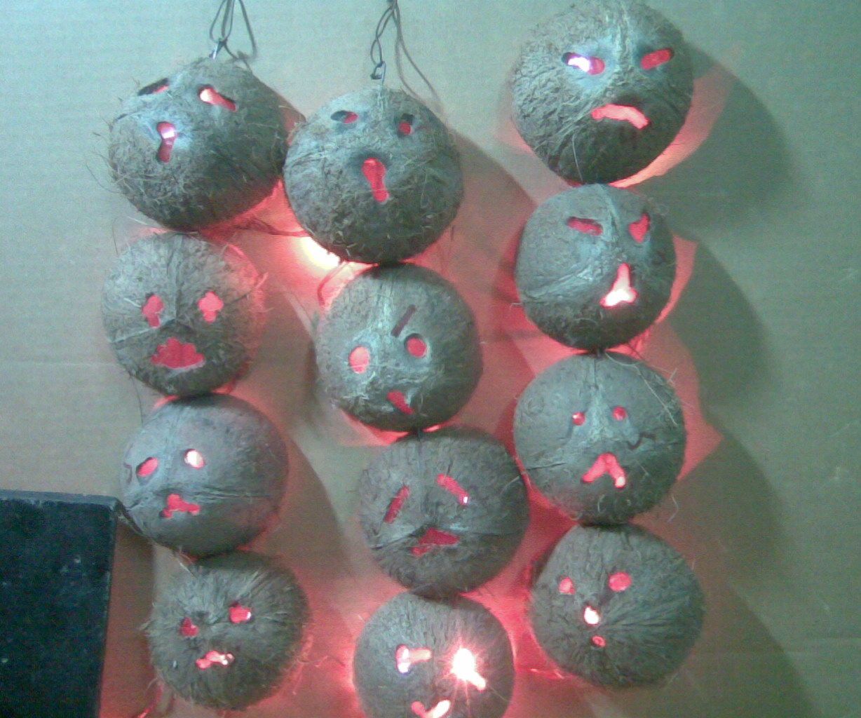 COCONUT SHEEL COSTUME