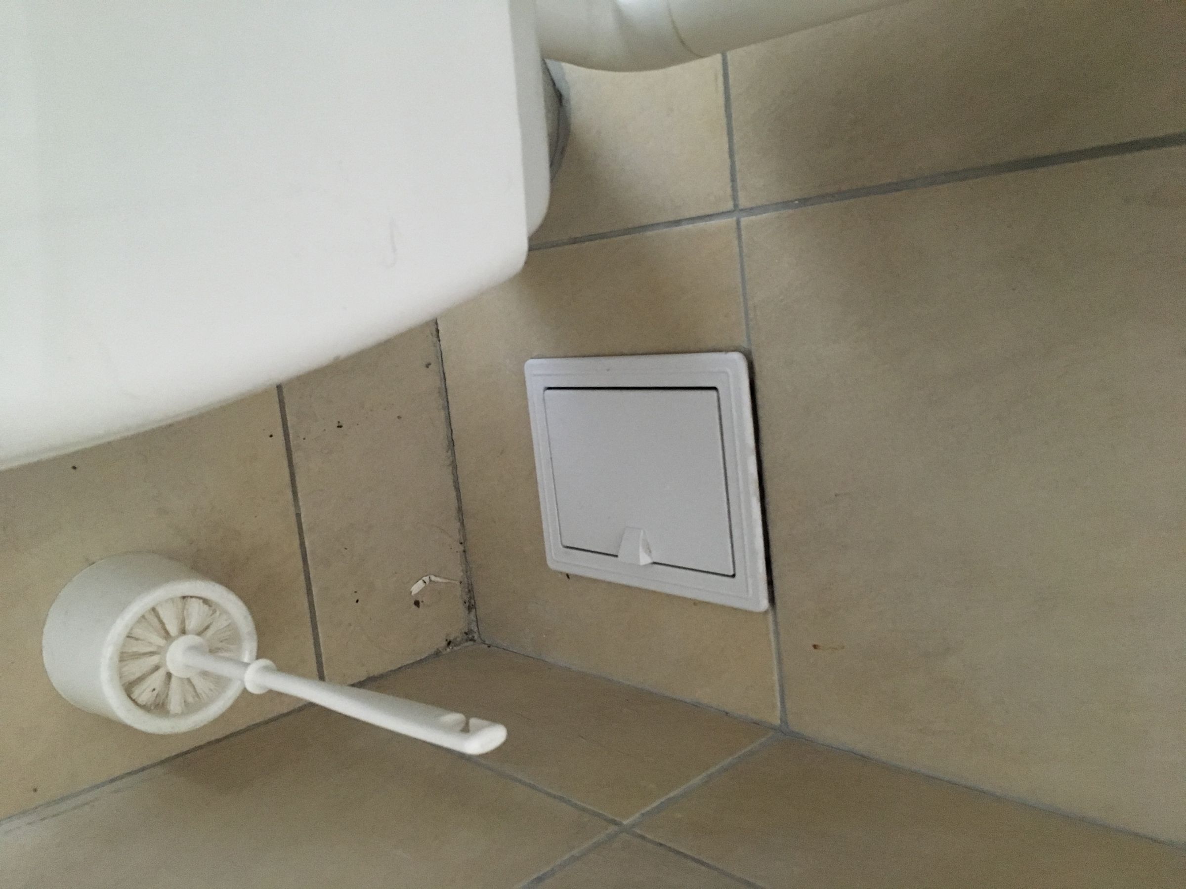 Best Place to Hide Toilet Paper in an Office Bathroom 5 Steps