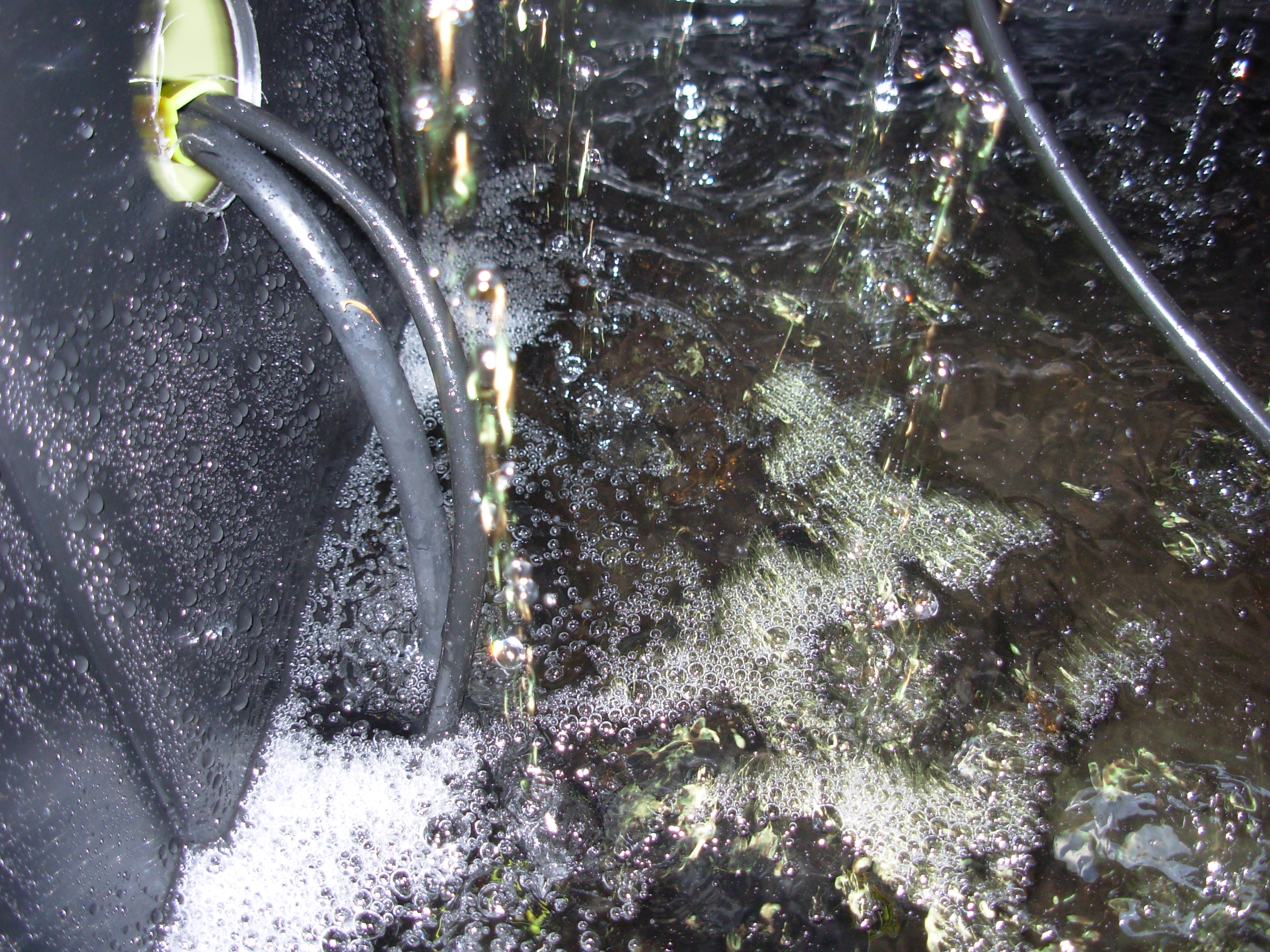 How to Build a Home Hydroponics System 8 Steps (with Pictures