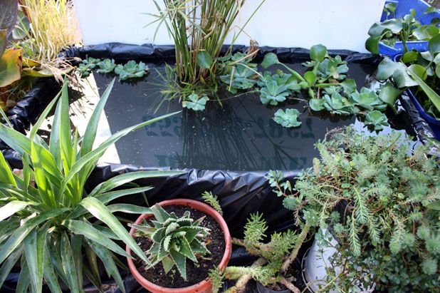 Build a Closet Door Pond