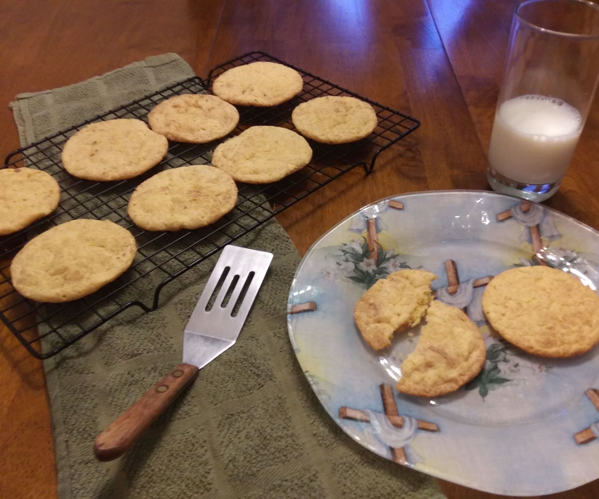 Mouth-Watering Snickerdoodles