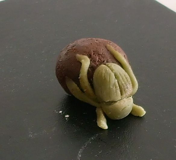 Dung Beetle Truffles