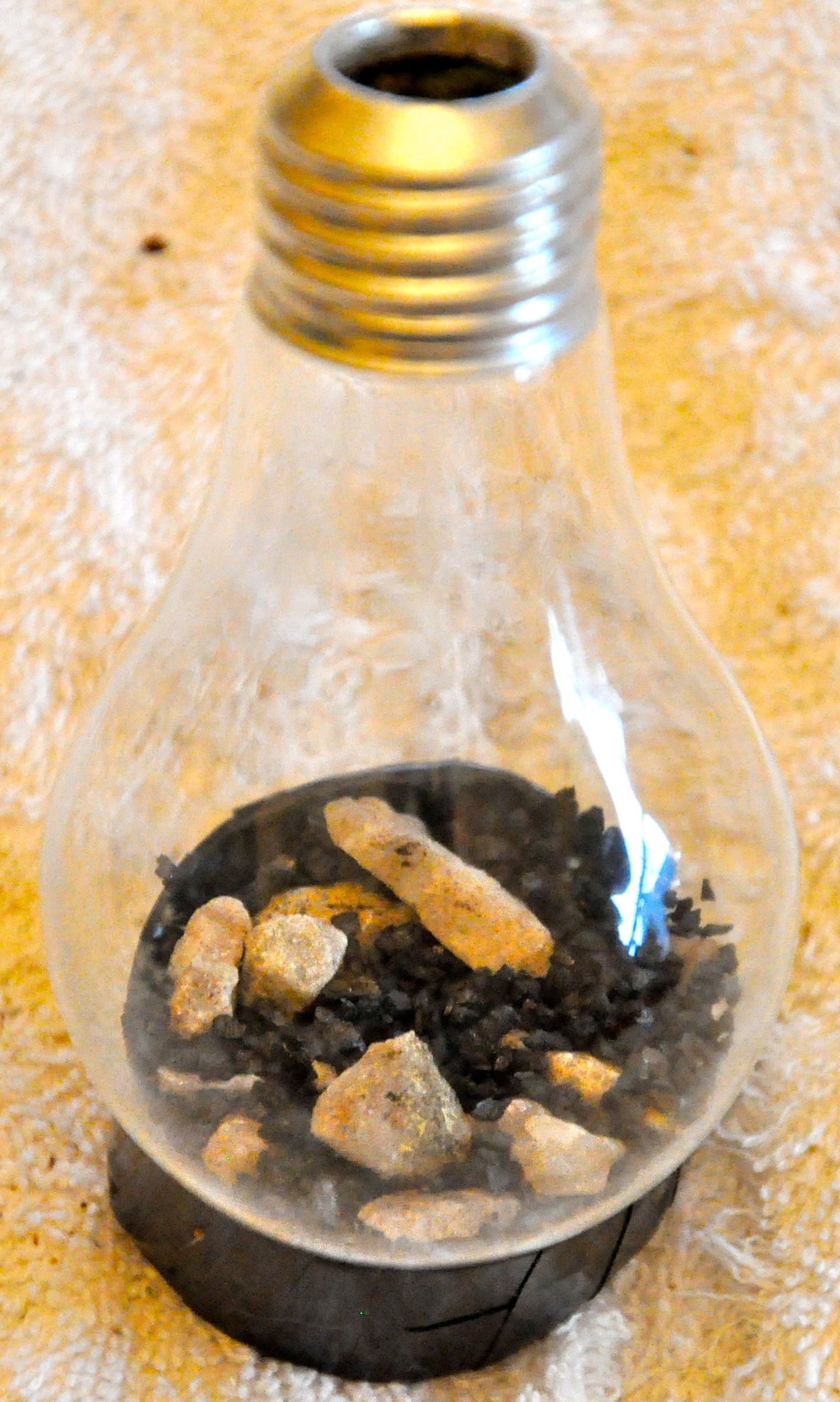 Light Bulb Terrarium 12 Steps (with Pictures) Instructables