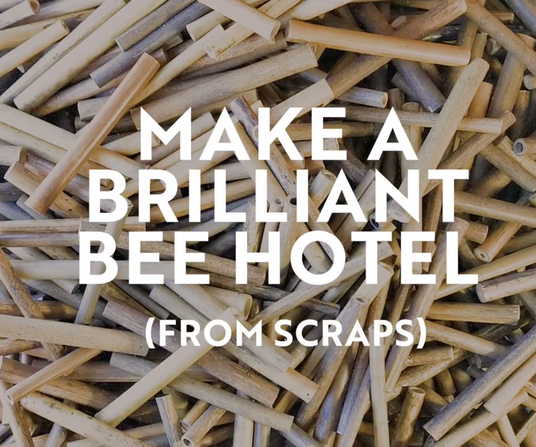 Make a Brilliant Bee Hotel (from Scraps)