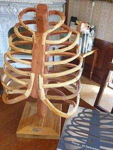 Handmade Wooden Ribcage : 8 Steps (with Pictures) - Instructables