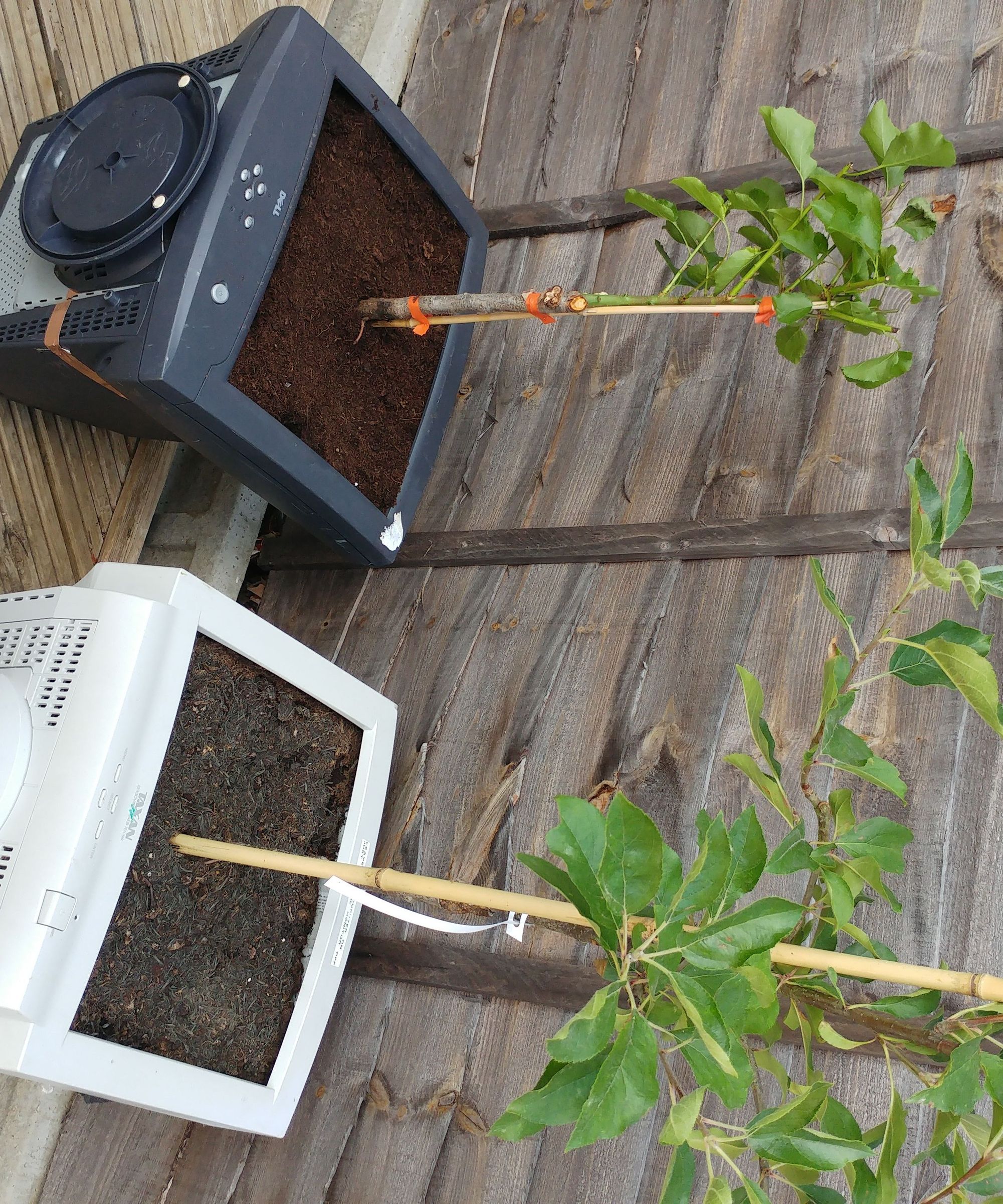 Computer Monitor Garden Planter