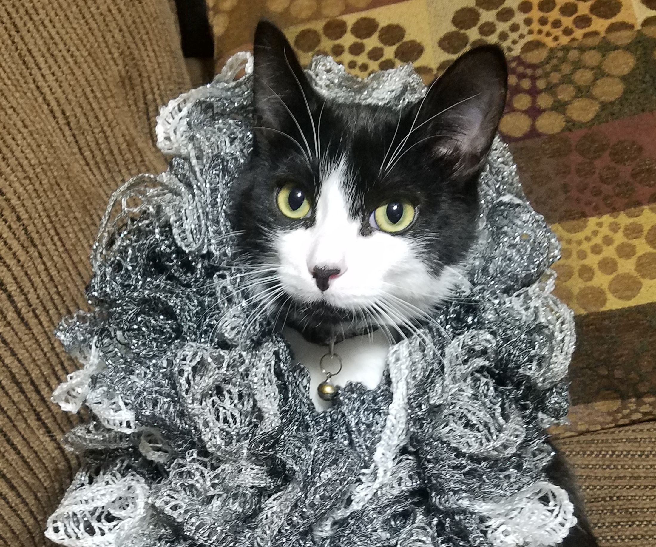 Sashay Ruffle Scarf