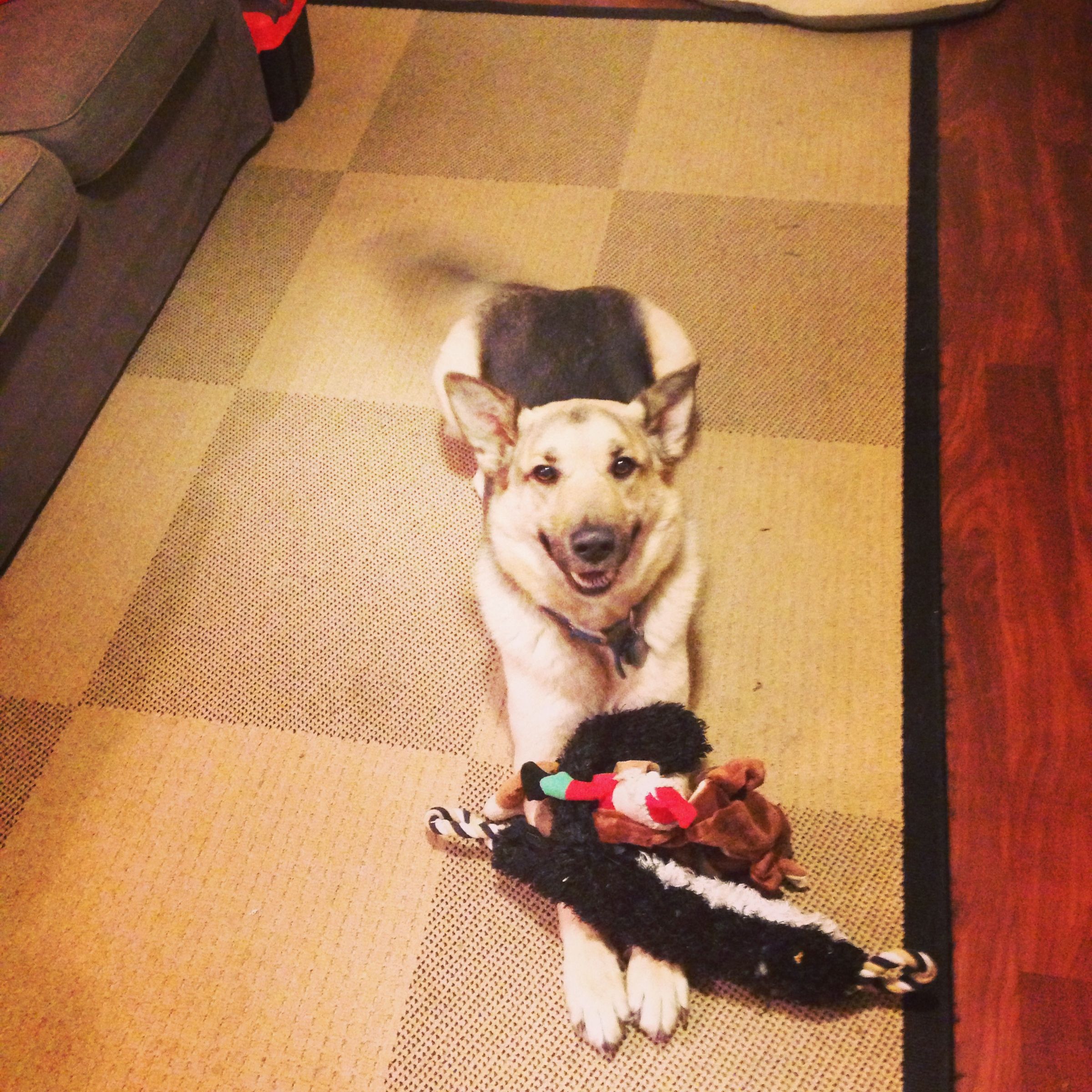 Make Your Pi a (Local) Cloud Server! : 19 Steps (with Pictures ...