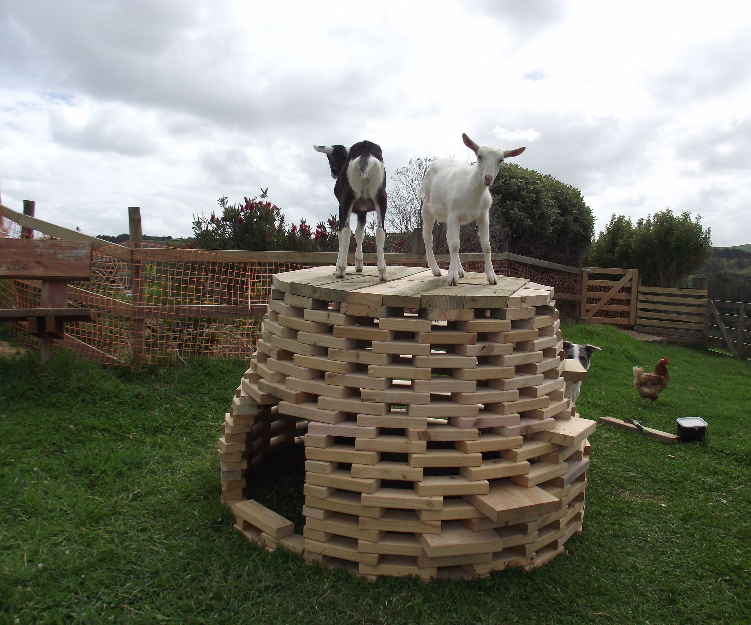 A Post Apocalypse, Post Global Warming Igloo OR the Playhive - a Climbing Frame for Baby Goats or Children 