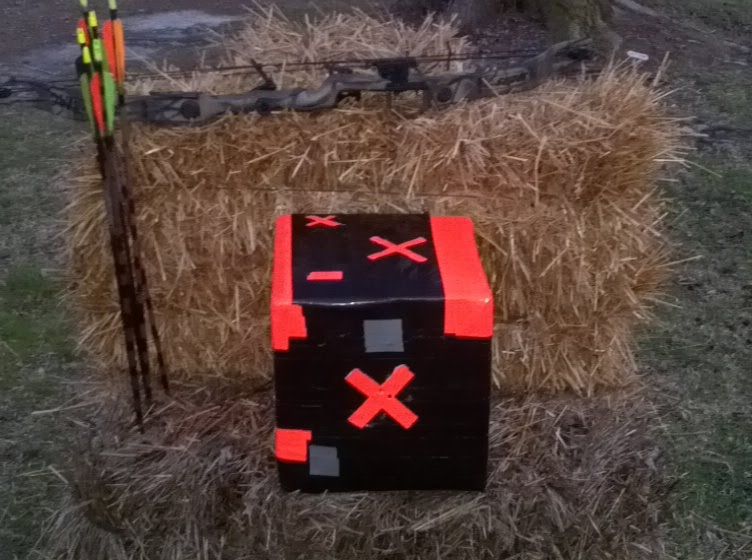 Home Made Compound Bow and Cross Bow Target