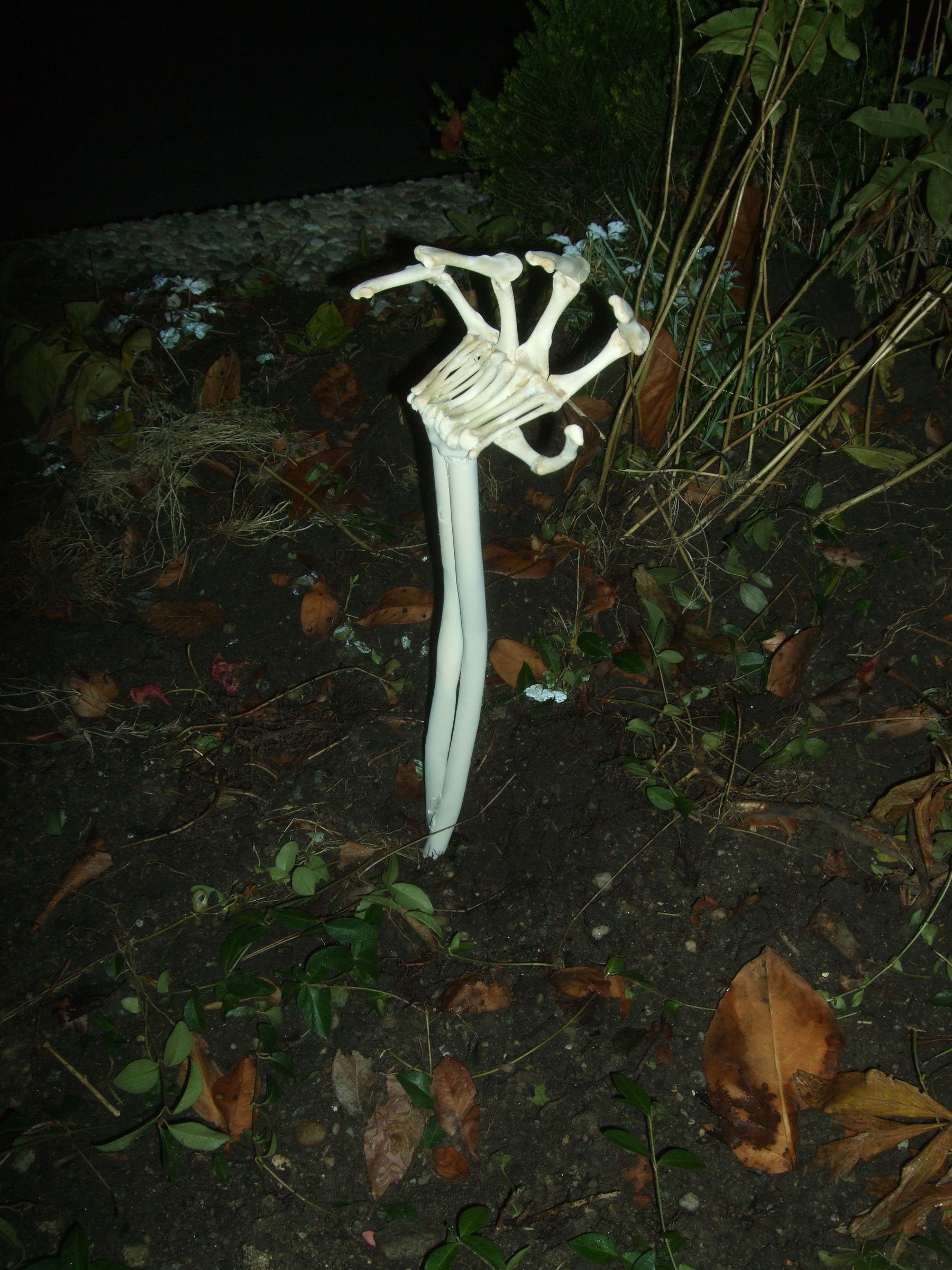 Front (grave)yard Hand