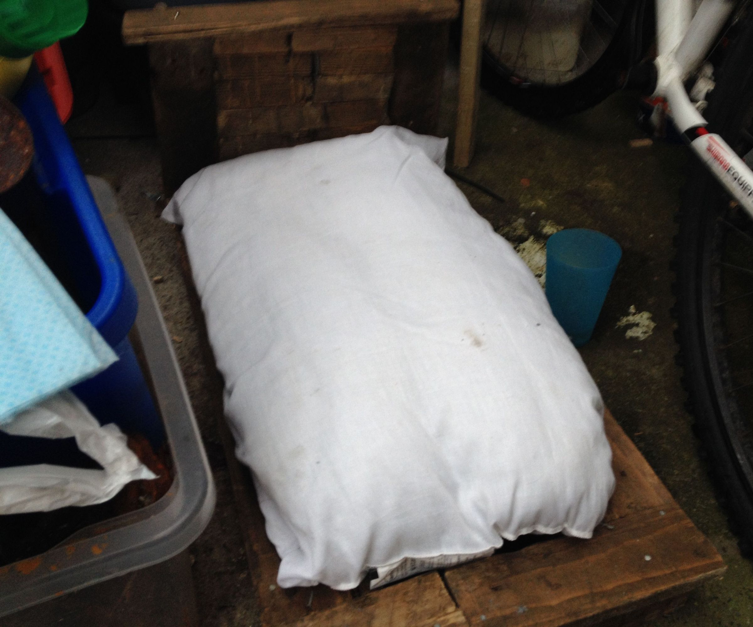 simple rustic  pallet pet bed