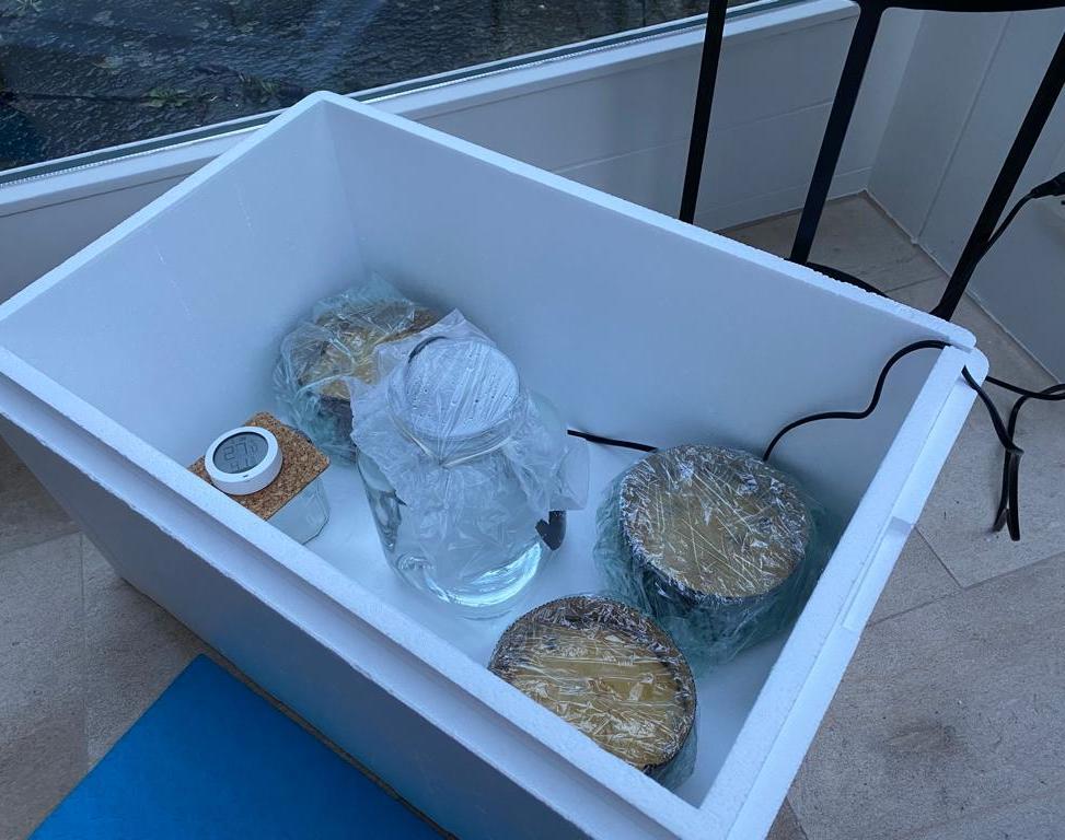 Dough Rising Box DIY for Cheap Instructables