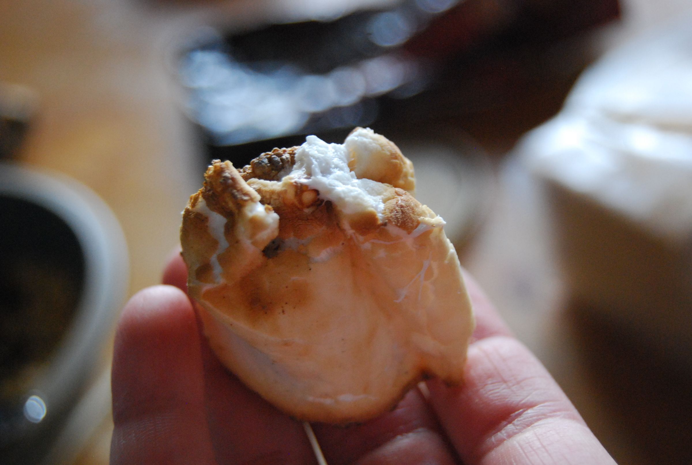 Bite-sized S'more Pockets