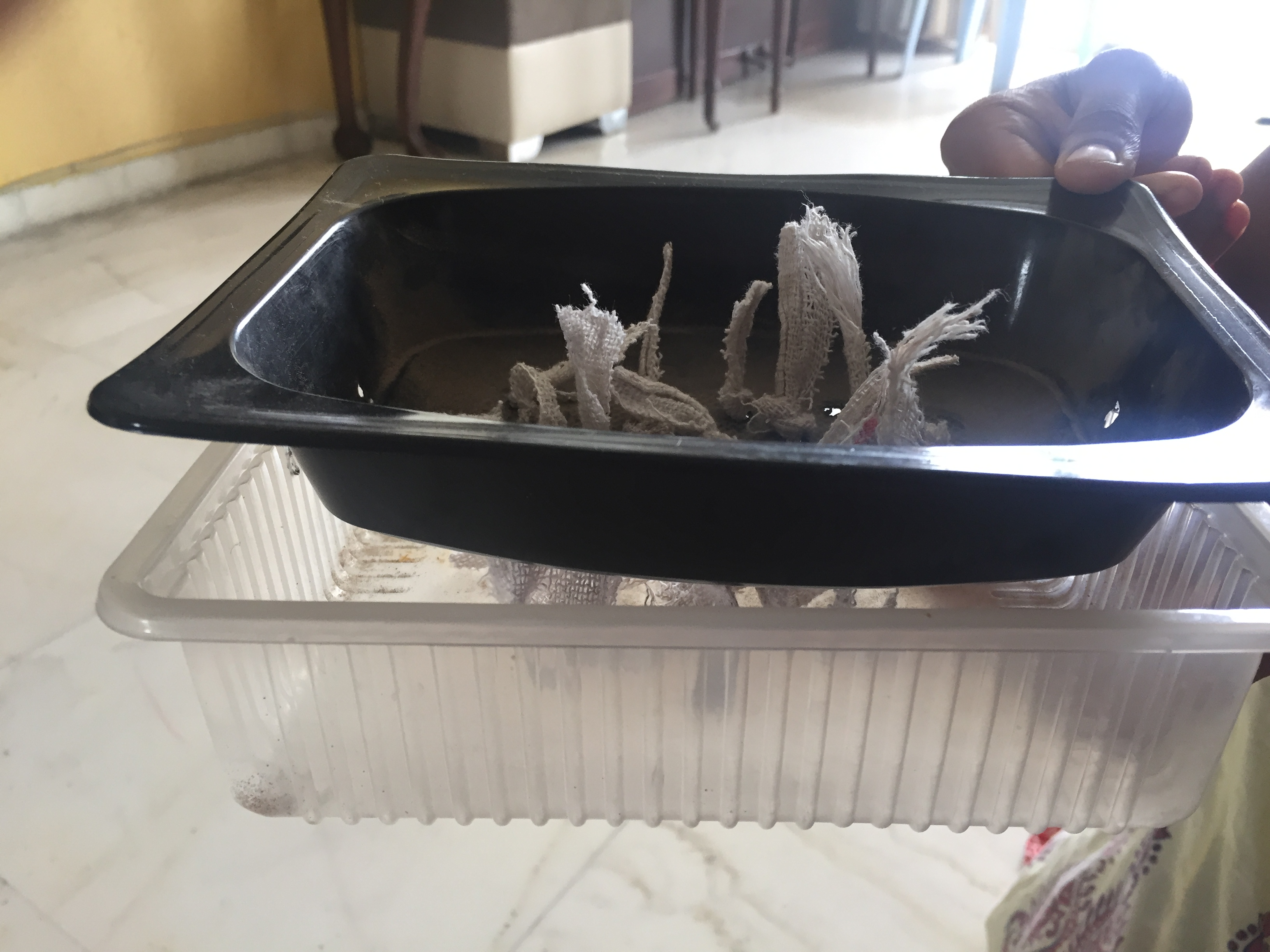 Self Watering Plant Stand Using Disposable Take Out Containers 3