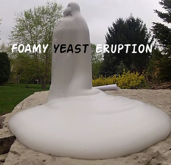 Foamy Yeast Eruption