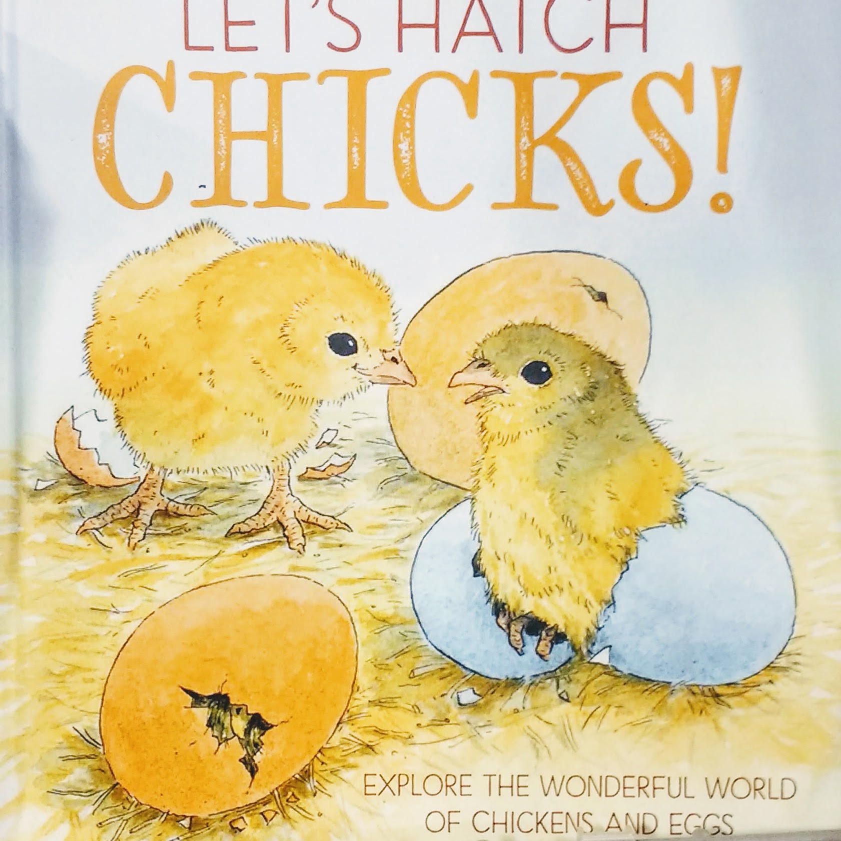 How to Make Tea Leaf Eggs 3 Steps (with Pictures) Instructables