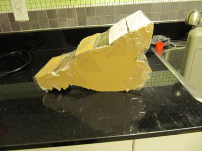 Bad Wolf Carboard Custom