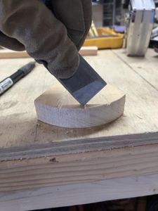 Fine Cut the Tail