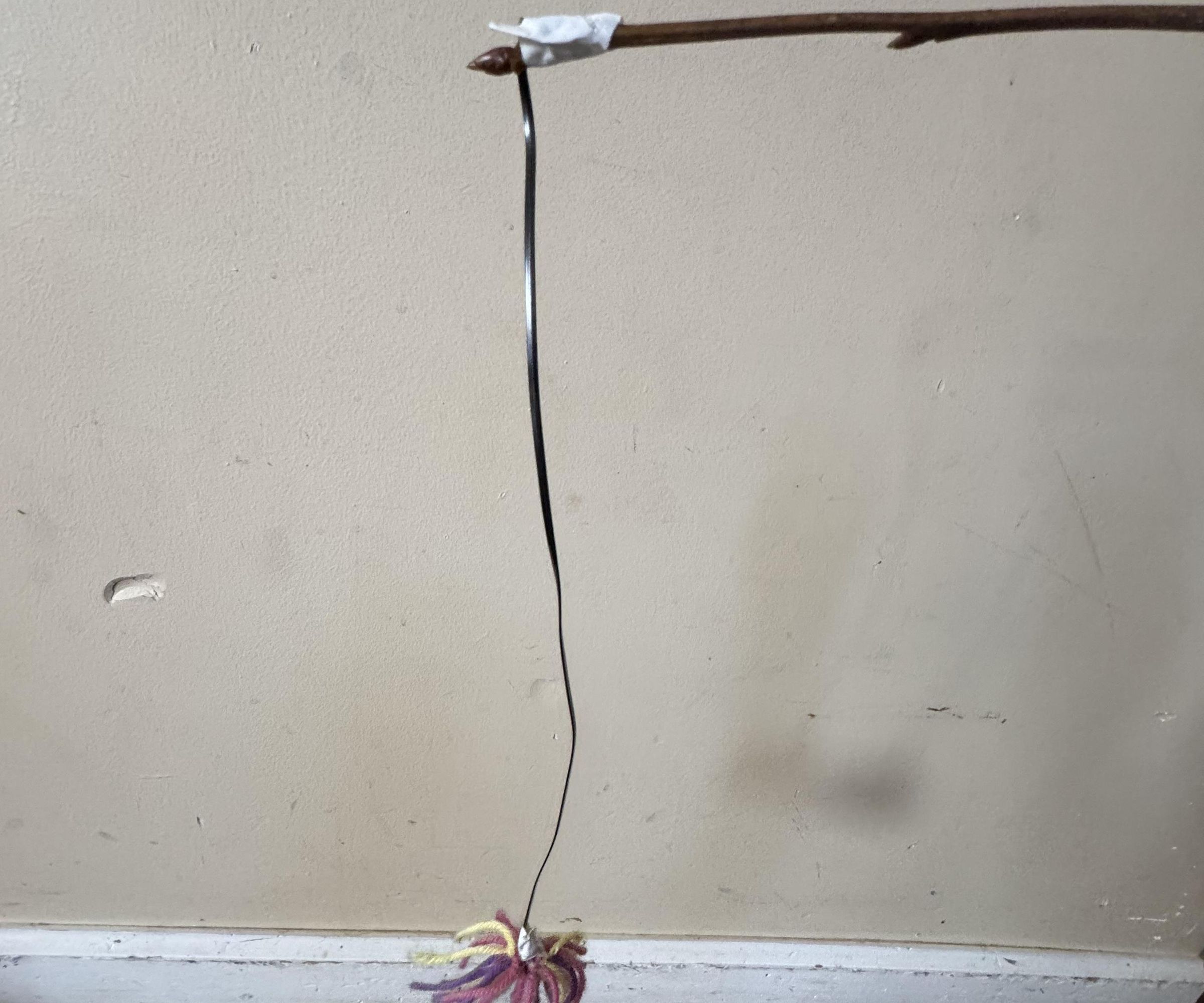 Diy Cat Toy