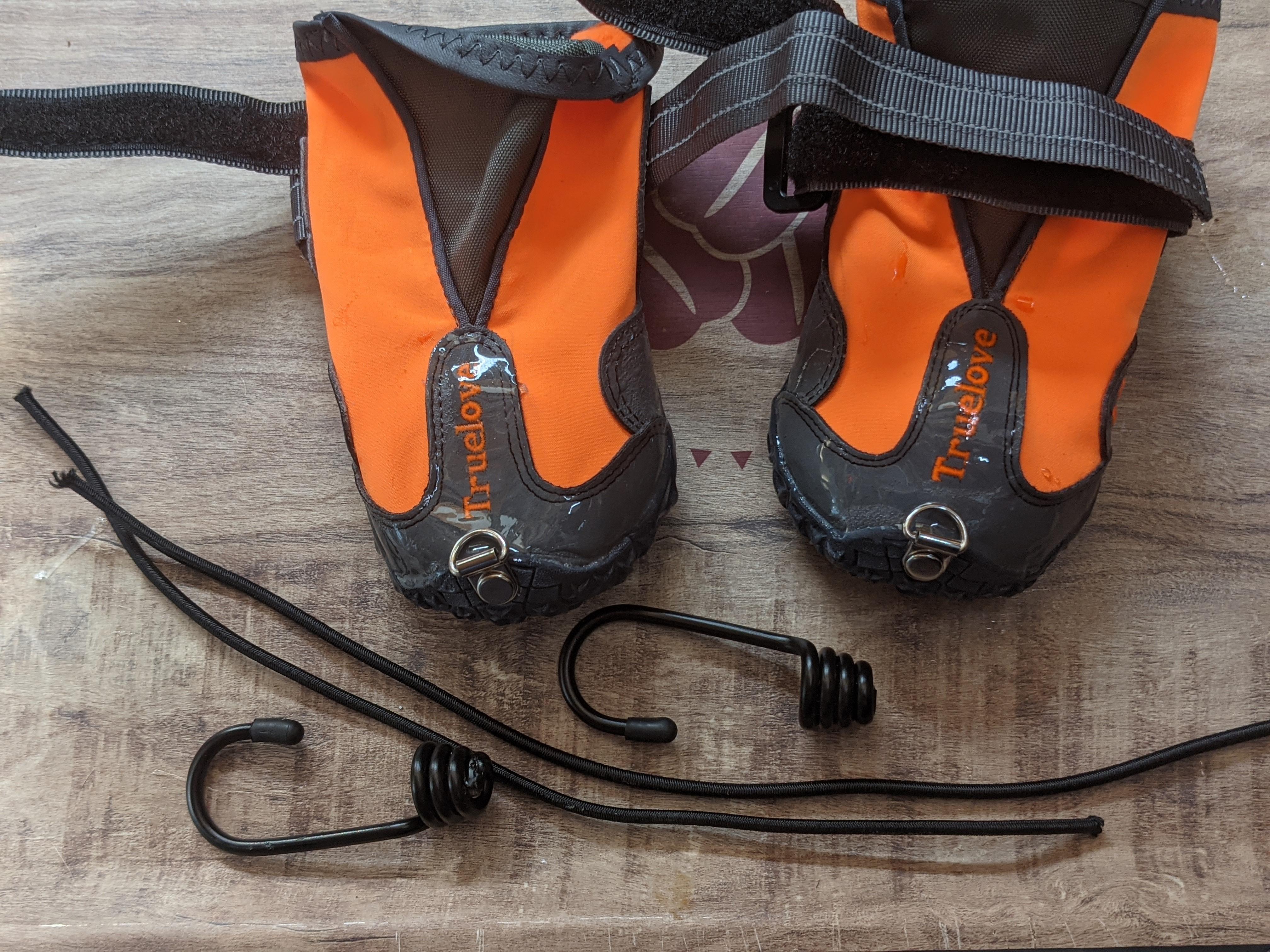AntiKnucking Shoes for Dogs With Degenerative Myelopathy 7 Steps