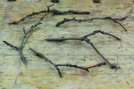 Collect Twigs