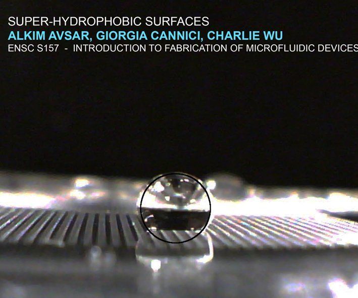 Superhydrophobic Surfaces based on PDMS microstructures