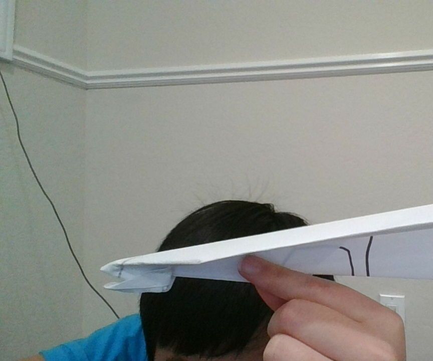 World Record 2019 Falcon Fighter