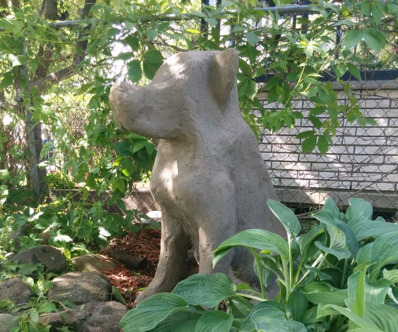 Concrete Dog