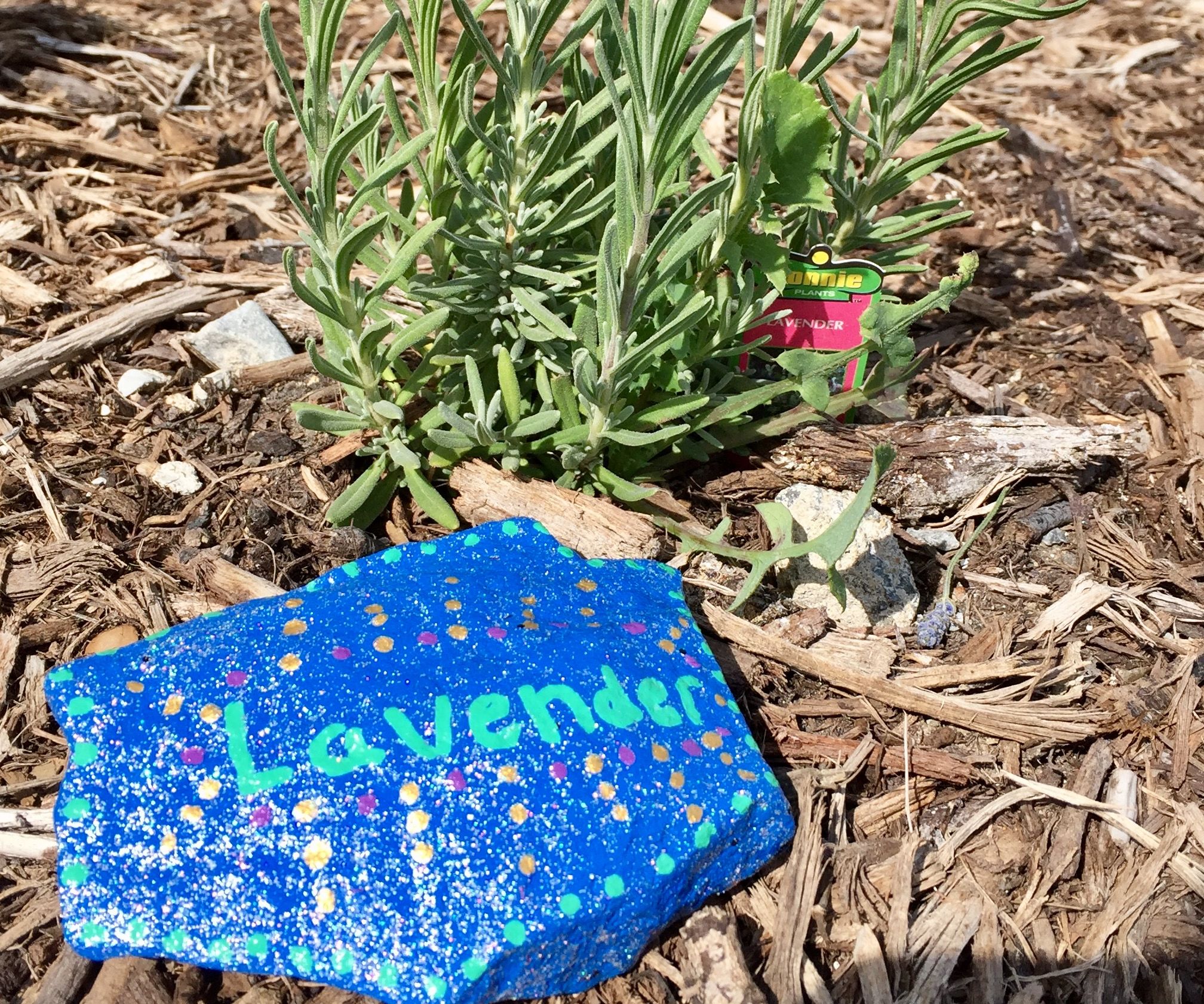 Garden Label on a Rock (Super Easy!)