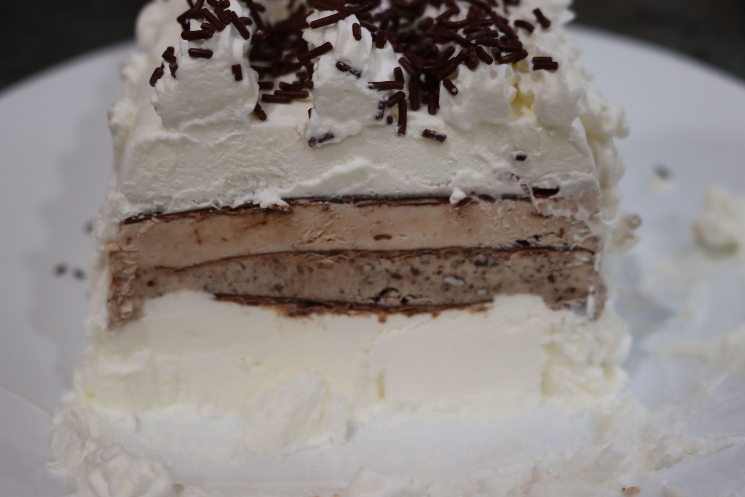 Homemade Eggless Ice Cream 11 Steps (with Pictures