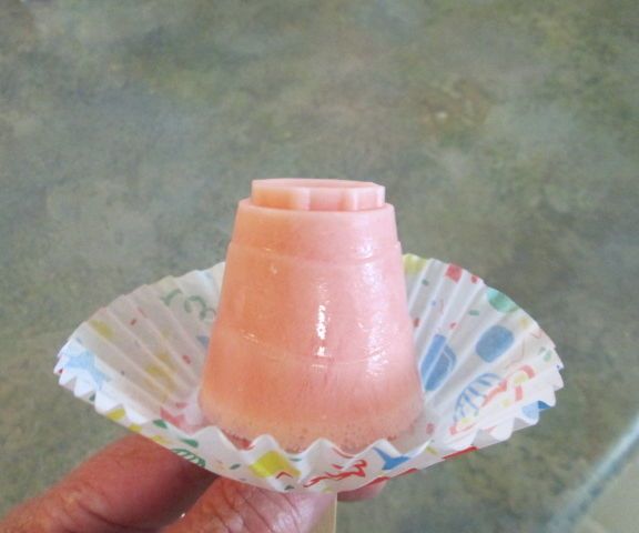 Watermelon Popsicles