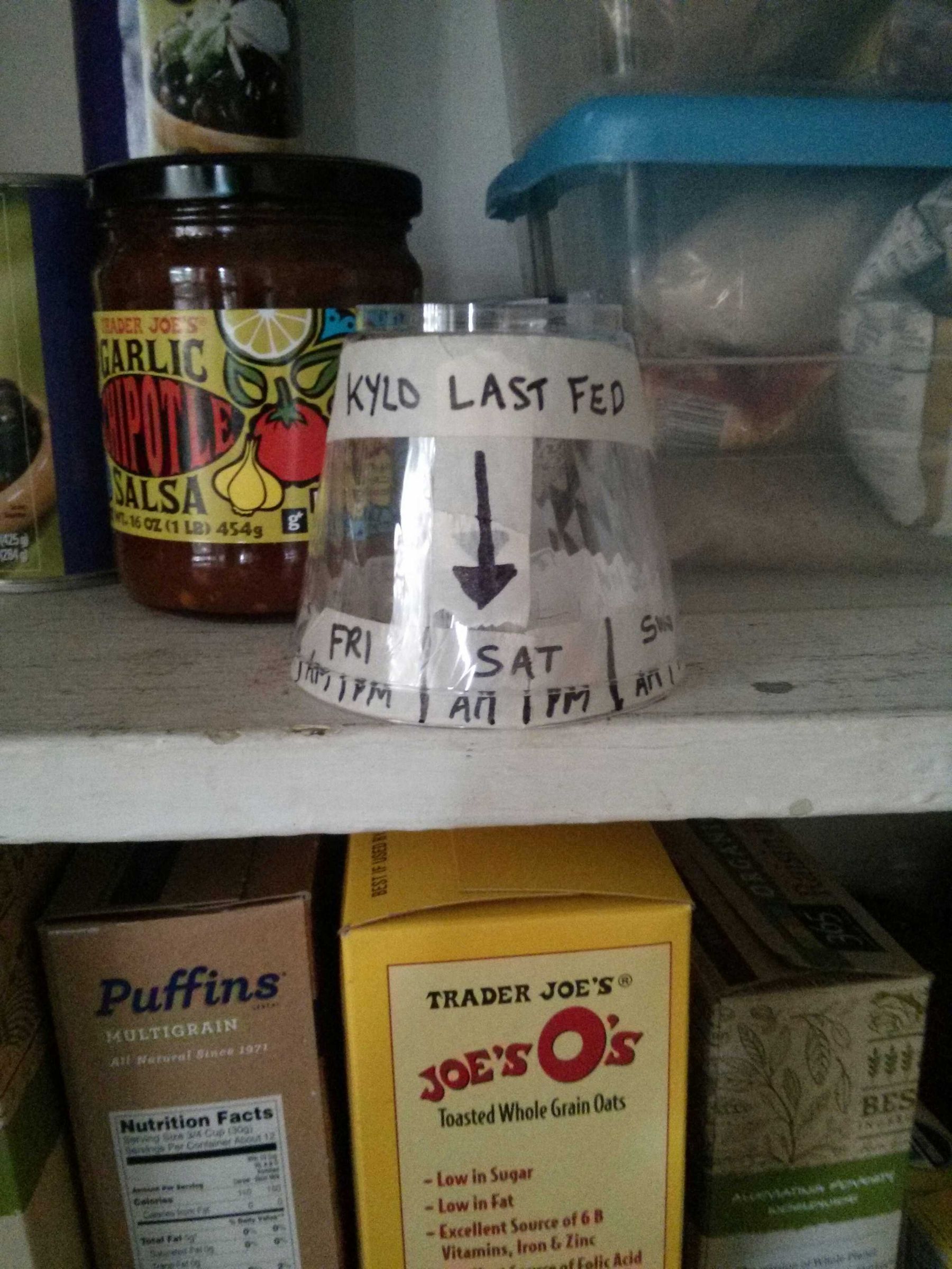 Remember When You Last Fed the Dog