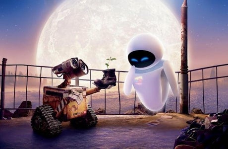 WALL-E (+Eve) Costume
