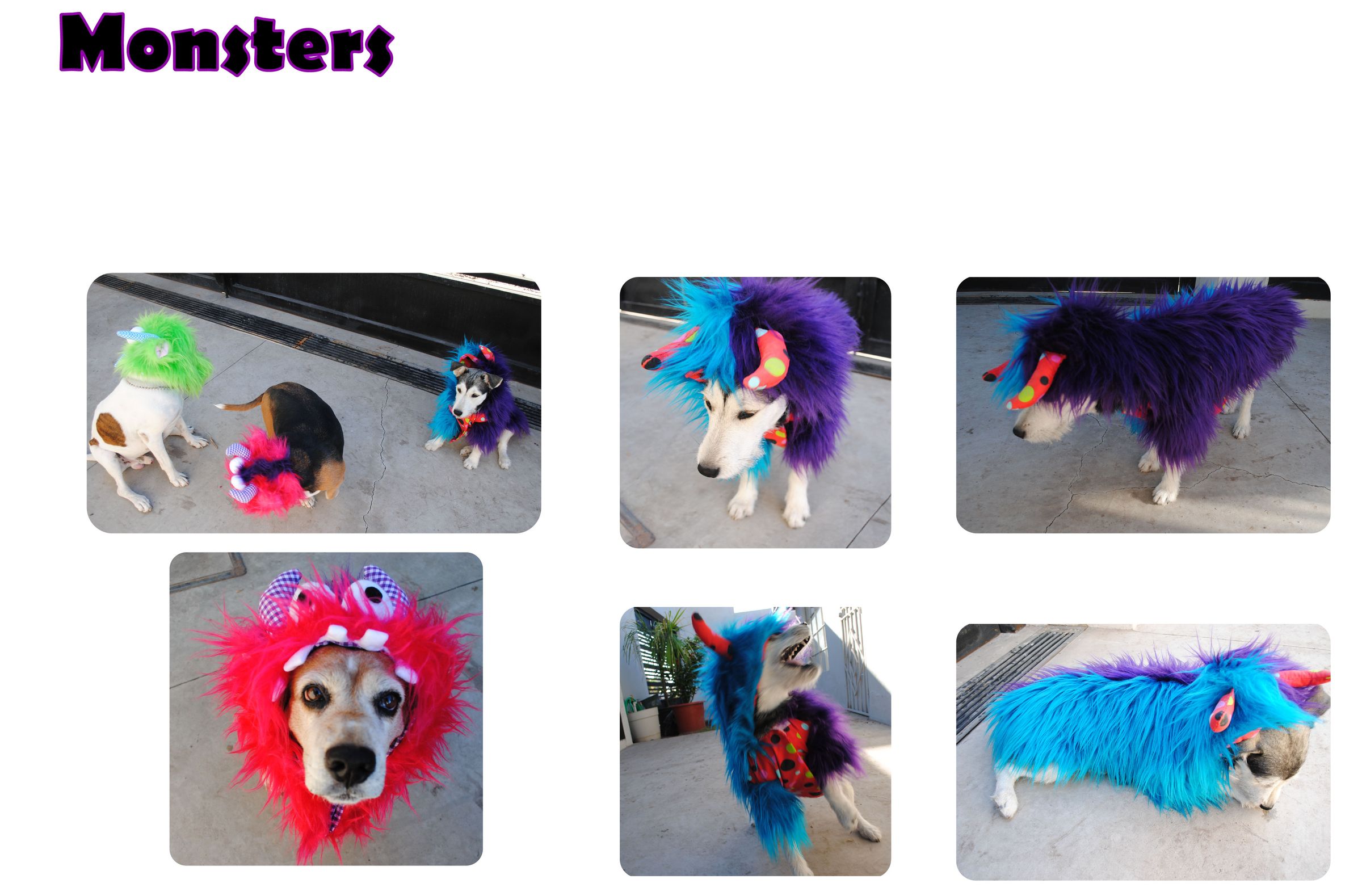 Monsters HOW TO MAKE DOG COSTUME 5 Steps (with Pictures