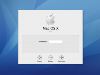 Login Screen