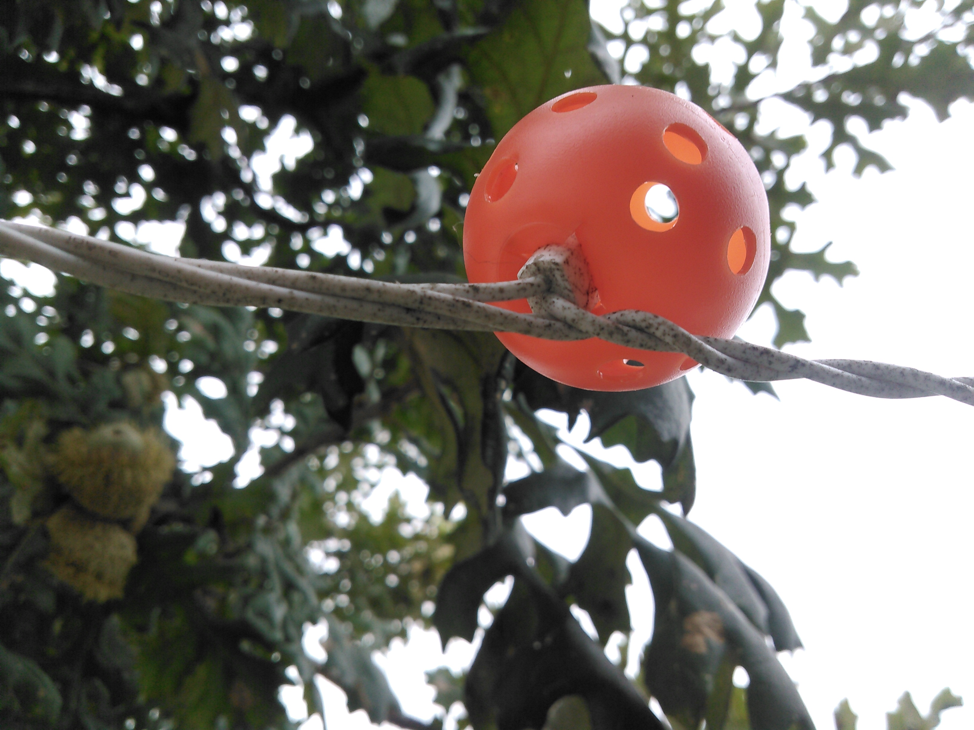 Decorative Fall Outdoor Lighting 